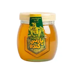 عسل پارس کندو شیشه 1000گ با موم - 1.572.264 ریال -  - فیما مارکت