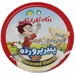پگاه پنیر پرورده گودا 140 - 200.000 ریال -  - فیما مارکت