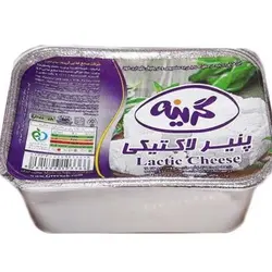 گرینه پنیر لاکتیکی - 160.000 ریال -  - فیما مارکت
