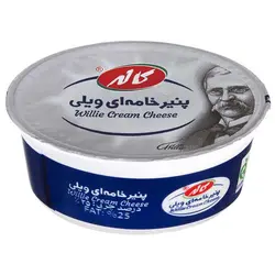 پنیر خامه ای ویلی 100گرم بیضی - 130.301 ریال -  - فیما مارکت