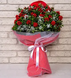 دسته گل کریسمس - کوکینا (ترکیه)