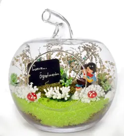 تراریوم استاد عزیزم(ترکیه)