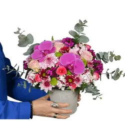 ارکیده مولیز(ترکیه)