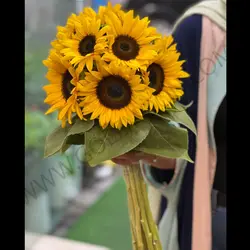 دسته گل 11 شاخه