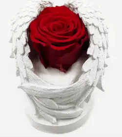 سری بال های فرشته سفید بدون محو شدن رز(ترکیه)