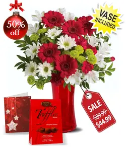 زنگ کریسمس IV (کانادا)