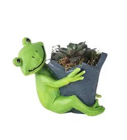 گلدان قورباغه گیاه زنده (ترکیه)