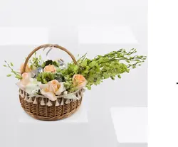 اوسیانا رز در سبد (قطر)