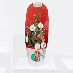 درخت پری (قطر)