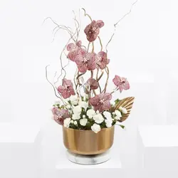 جنگل ارکیده (قطر)