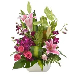 ارتعاش (استرالیا)