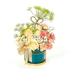 پاپ از شادی (سنگاپور)