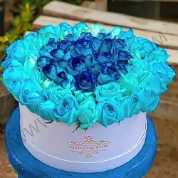 باکس گل 55 شاخه رز آبی