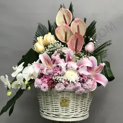 سبد گل راشل