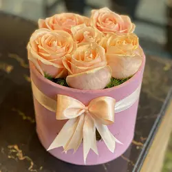 باکس گل صدف