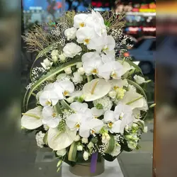 سبد گل با آنتوریوم سفید