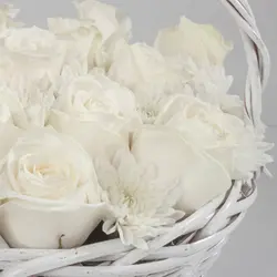 سبد گل رز سفید 30 شاخه همراه با داوودی