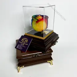 باکس گل رز جاودان رنگارنگ هدیه و جواهر