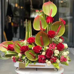 سبد گل آنتوریوم و رز