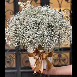 باکس تولد پاکدل