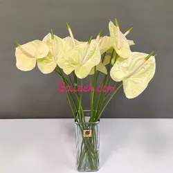 گل آنتوریوم لیمویی