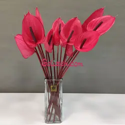 گل آنتوریوم صورتی