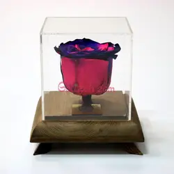 گیفت اداری رومیزی