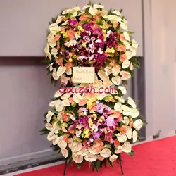 پایه گل تبریک ارکیده