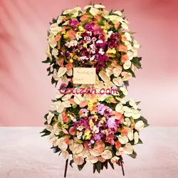 پایه گل تبریک ارکیده