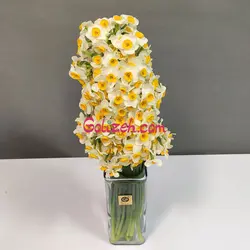 خرید گل نرگس شیراز برای امروز با چند کلیک 100 شاخه نرگس طبیعی معطر ارسال فوری| گلیزه