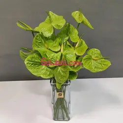 گل آنتوریوم سبز