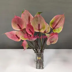 گل آنتوریوم پروتزی (فیروزی)