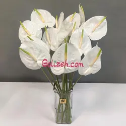 گل آنتوریوم سفید