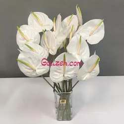 گل آنتوریوم سفید