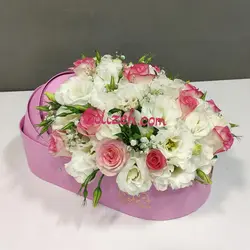 باکس نوزاد مفرح