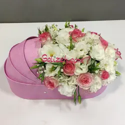 باکس نوزاد مفرح