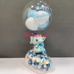 گل نوزاد ماهان