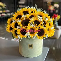 باکس گل آفتابگردان 20شاخه