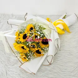 گل آفتابگردان 10شاخه