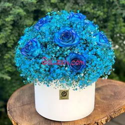 باکس گل رز و ژیپسوفیلا آبی