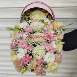 گل نوزاد پانیذ