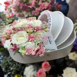 گل نوزاد پانیذ