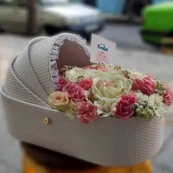 گل نوزاد پانیذ