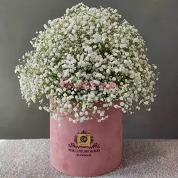 باکس گل ژیپسی