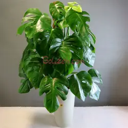 برگ انجیری باگلدان تورینگ