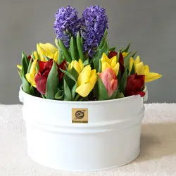 باغچه فلزی سنبل و لاله