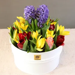 باغچه فلزی سنبل و لاله