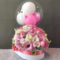 گل نوزاد تَرلان