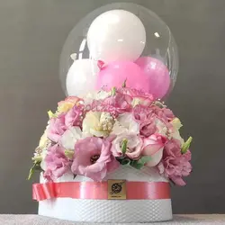 گل نوزاد تَرلان