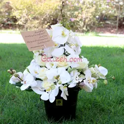 باکس گل ترحیم ارکیده